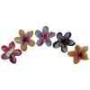 02 169 Magnet Flower All Colours Set 5